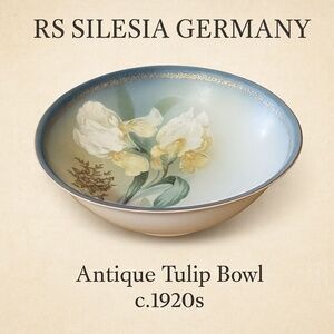 RS Silesia Germany Gold Gilt Hand Painted Tulip Porcelain‎ Bowl c.1920s 9"